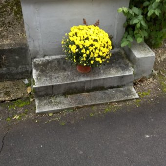 Photo Cérémonie du 11 Novembre 2024
