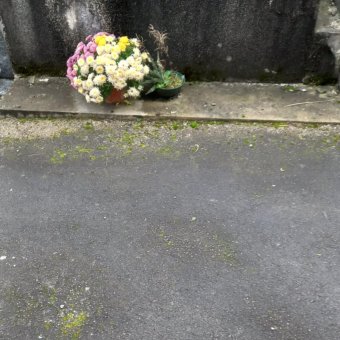 Photo Cérémonie du 11 Novembre 2024