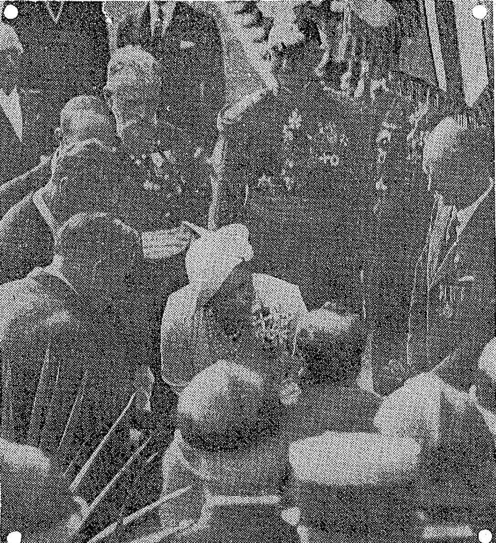 L'embarquement à Calais pour famille royale