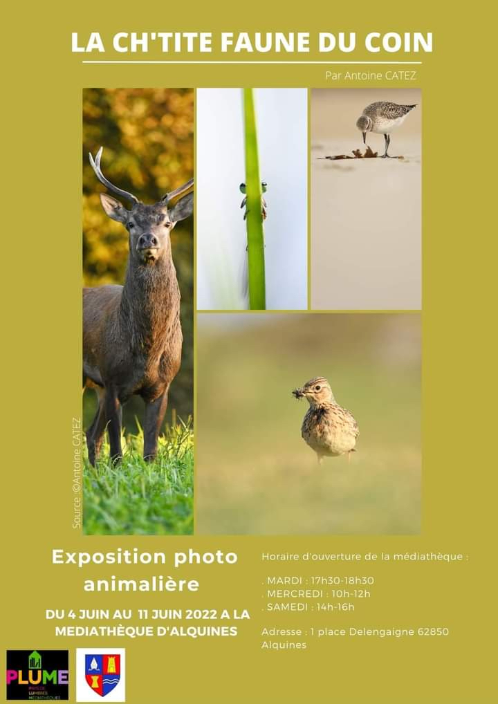 affiche-expo